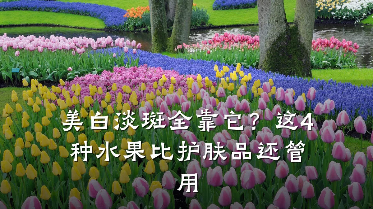 美白淡斑全靠它？这4种水果比护肤品还管用