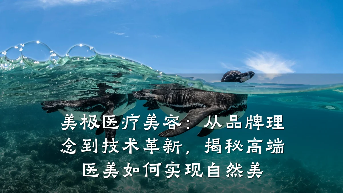 美极医疗美容：从品牌理念到技术革新，揭秘高端医美如何实现自然美