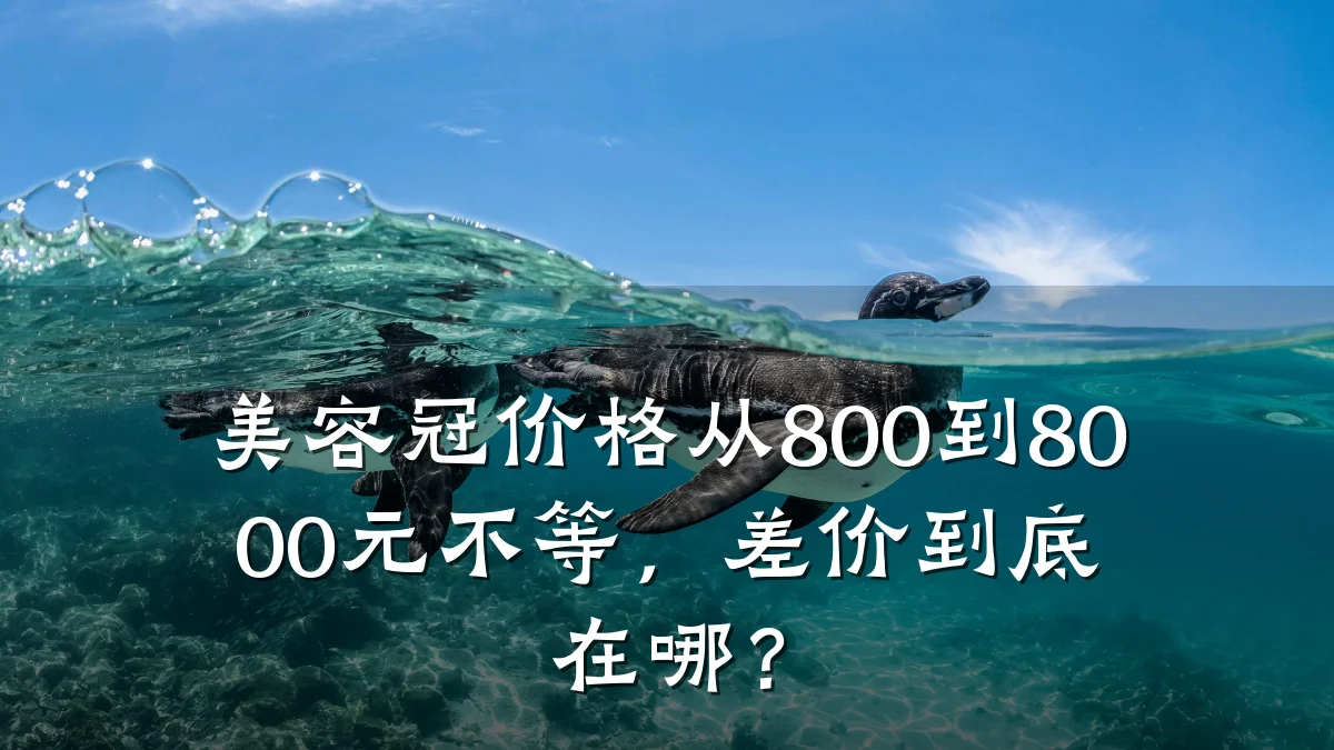 美容冠价格从800到8000元不等，差价到底在哪？