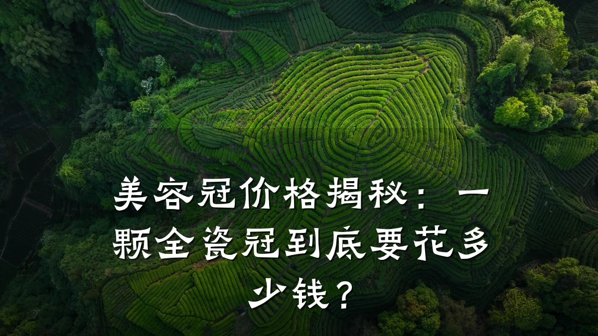 美容冠价格揭秘：一颗全瓷冠到底要花多少钱？
