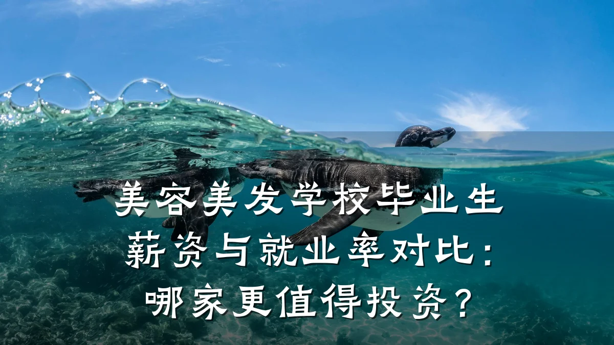 美容美发学校毕业生薪资与就业率对比：哪家更值得投资？