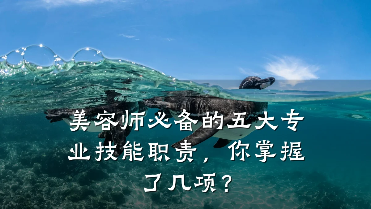 美容师必备的五大专业技能职责,你掌握了几项?