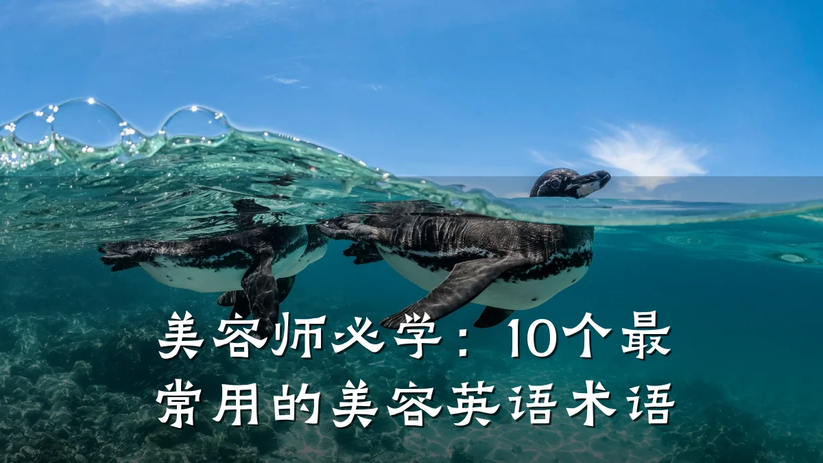 美容师必学：10个最常用的美容英语术语