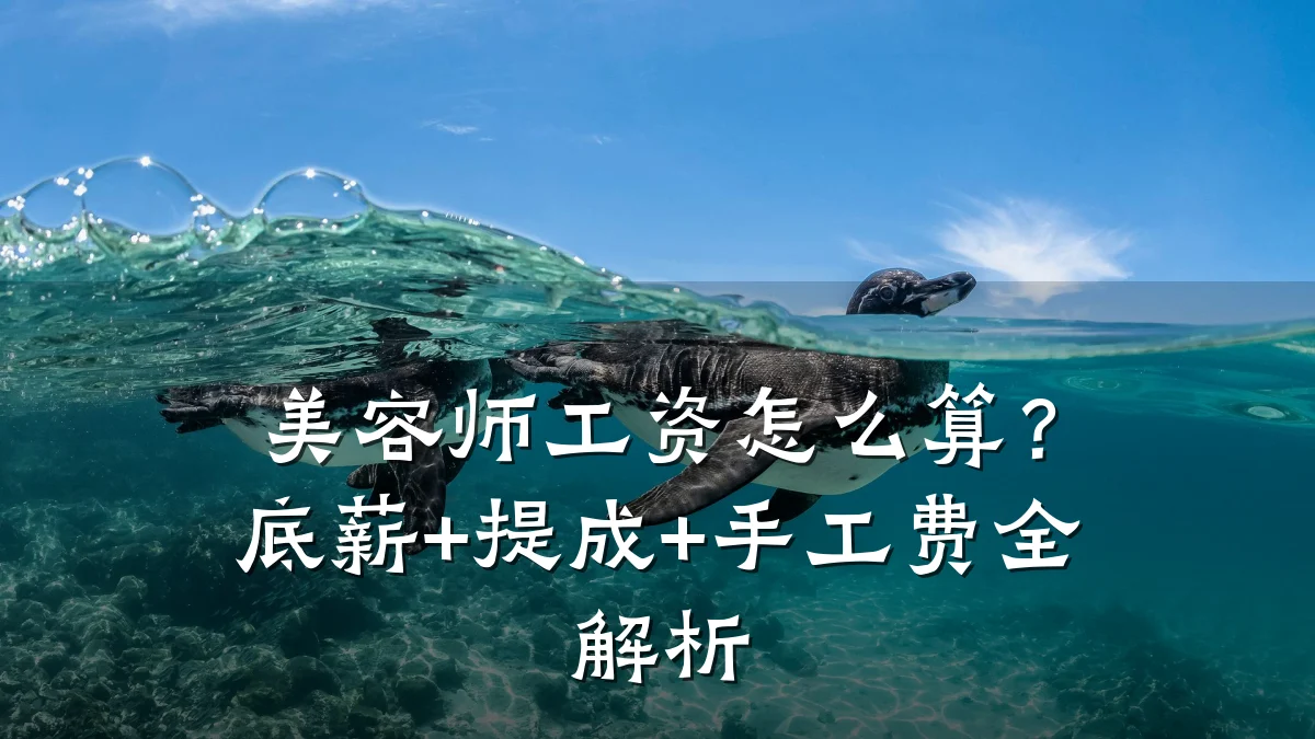 美容师工资怎么算？底薪+提成+手工费全解析