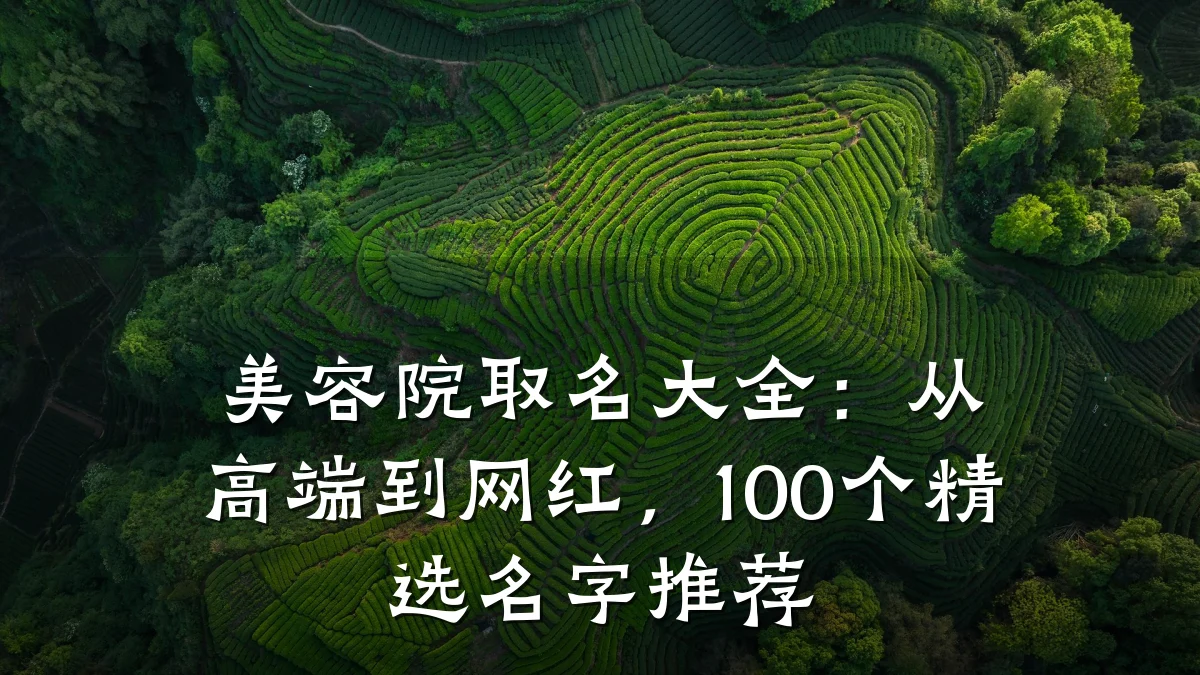 美容院取名大全：从高端到网红，100个精选名字推荐