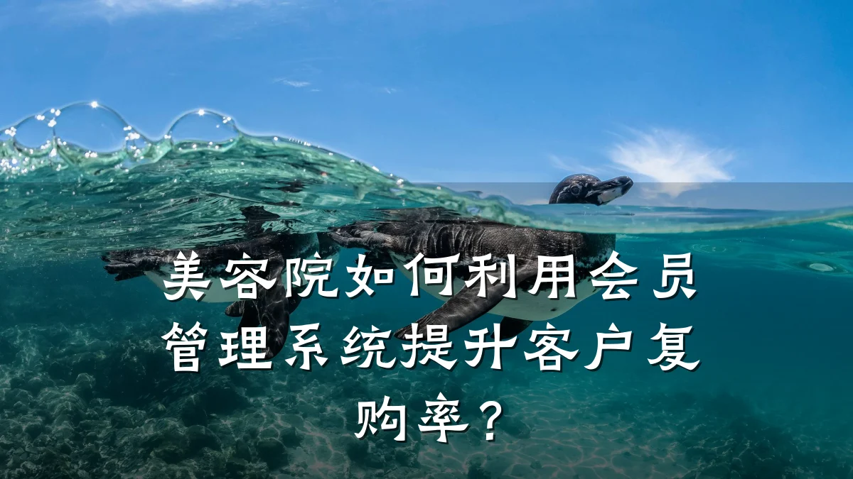 美容院如何利用会员管理系统提升客户复购率？