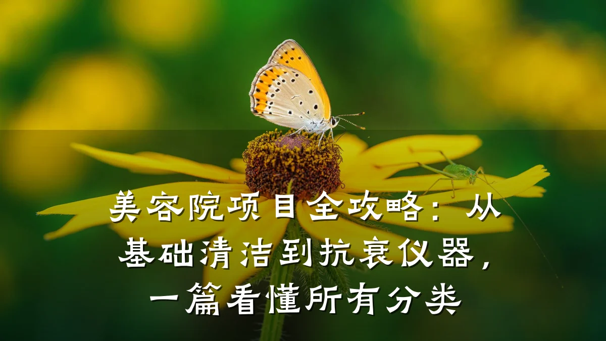 美容院项目全攻略：从基础清洁到抗衰仪器，一篇看懂所有分类