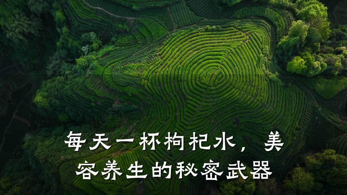每天一杯枸杞水，美容养生的秘密武器