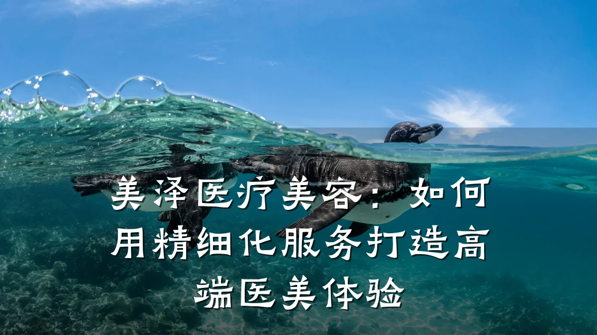 美泽医疗美容：如何用精细化服务打造高端医美体验