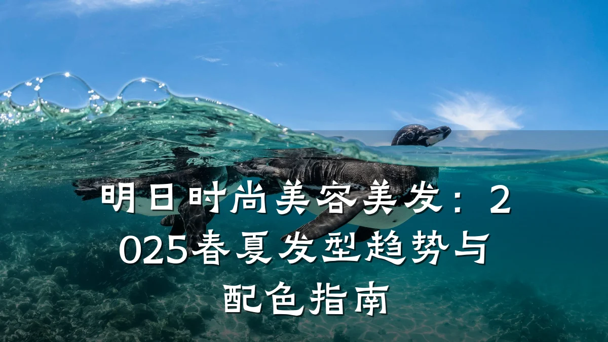 明日时尚美容美发：2025春夏发型趋势与配色指南