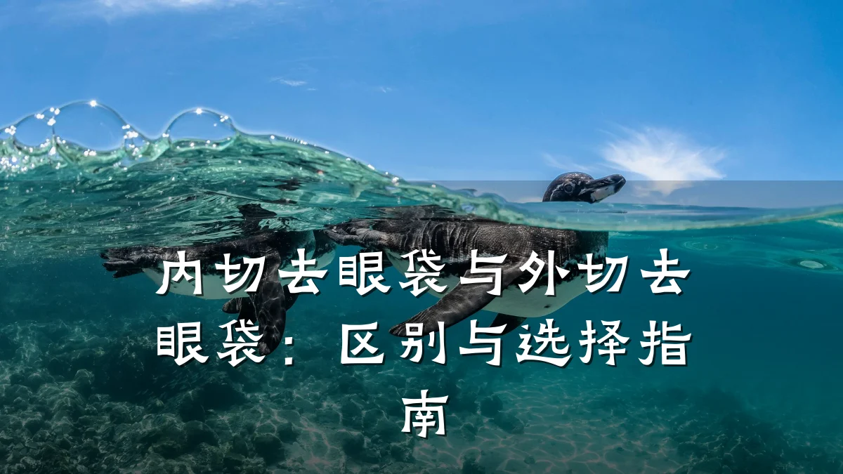 内切去眼袋与外切去眼袋：区别与选择指南