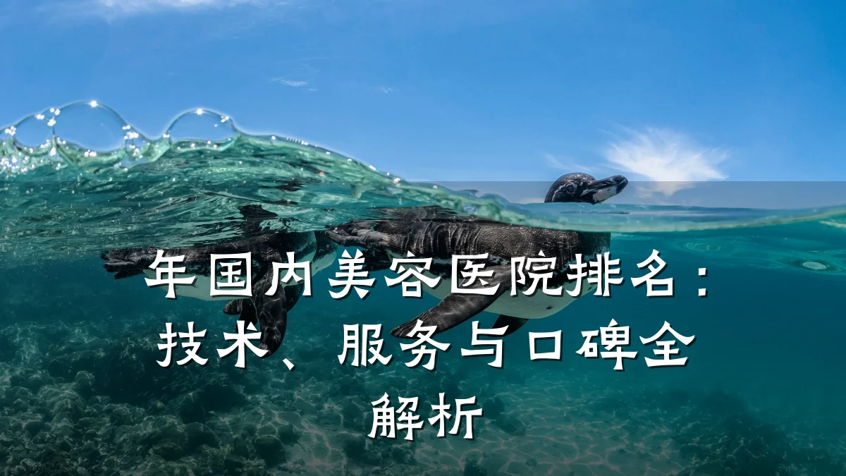 年国内美容医院排名：技术、服务与口碑全解析