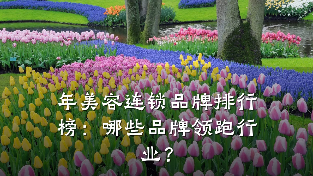 年美容连锁品牌排行榜：哪些品牌领跑行业？
