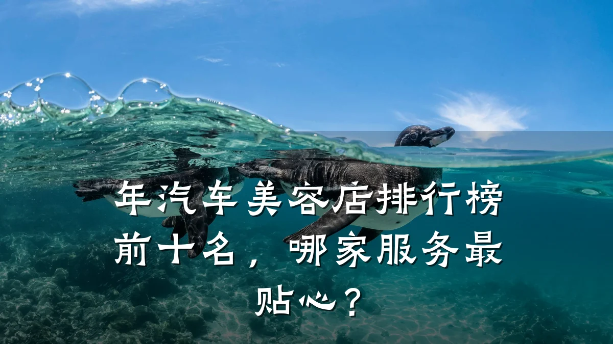 年汽车美容店排行榜前十名，哪家服务最贴心？