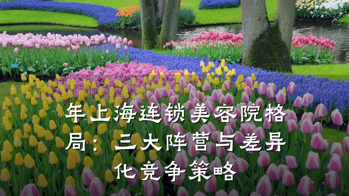年上海连锁美容院格局：三大阵营与差异化竞争策略
