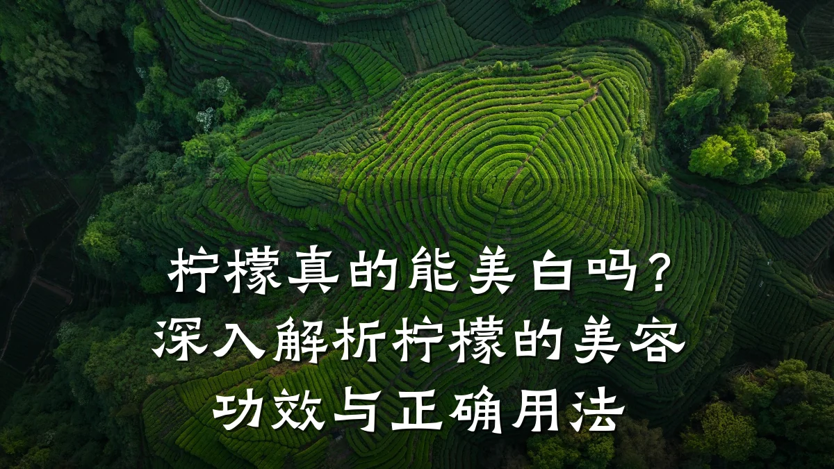 柠檬真的能美白吗？深入解析柠檬的美容功效与正确用法