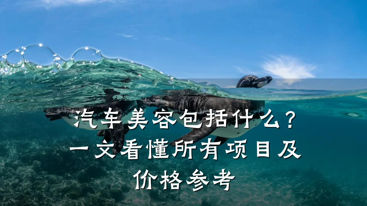 汽车美容包括什么？一文看懂所有项目及价格参考
