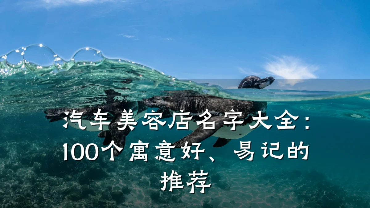 汽车美容店名字大全：100个寓意好、易记的推荐