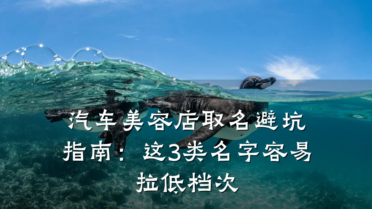 汽车美容店取名避坑指南：这3类名字容易拉低档次