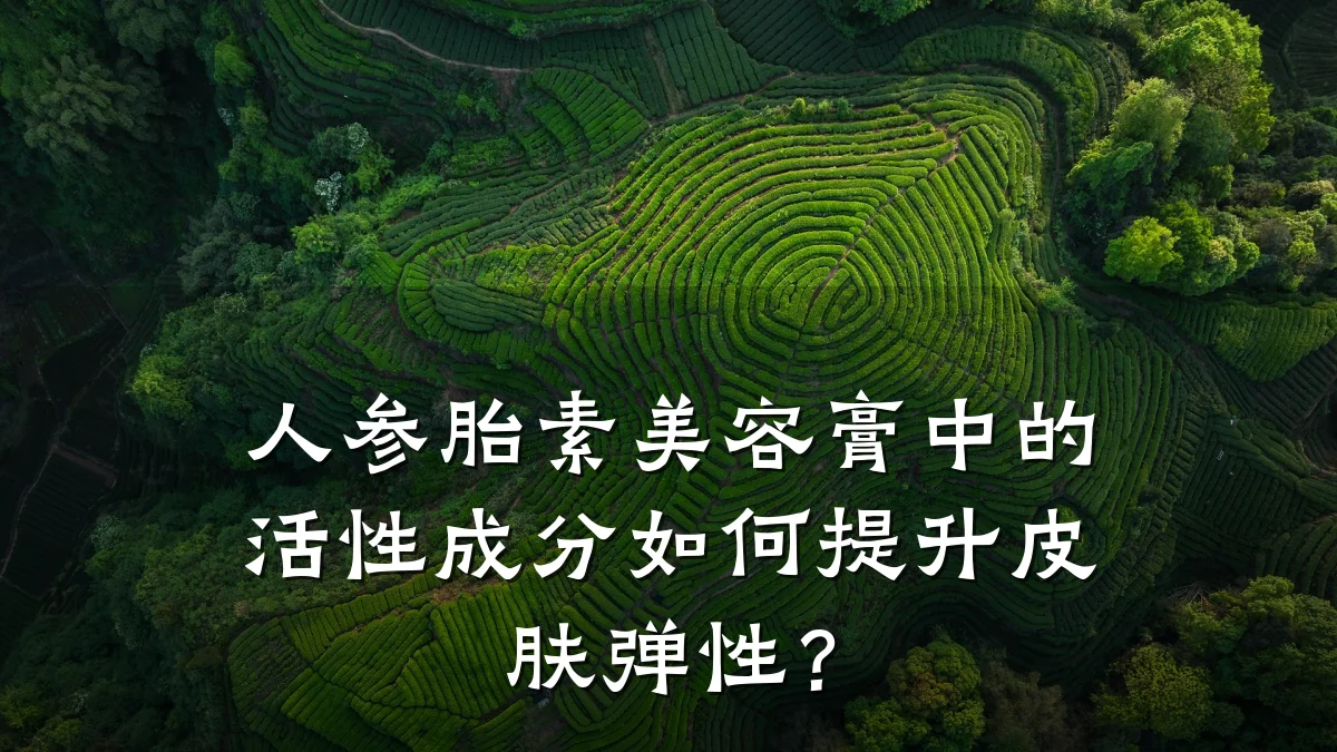 人参胎素美容膏中的活性成分如何提升皮肤弹性？