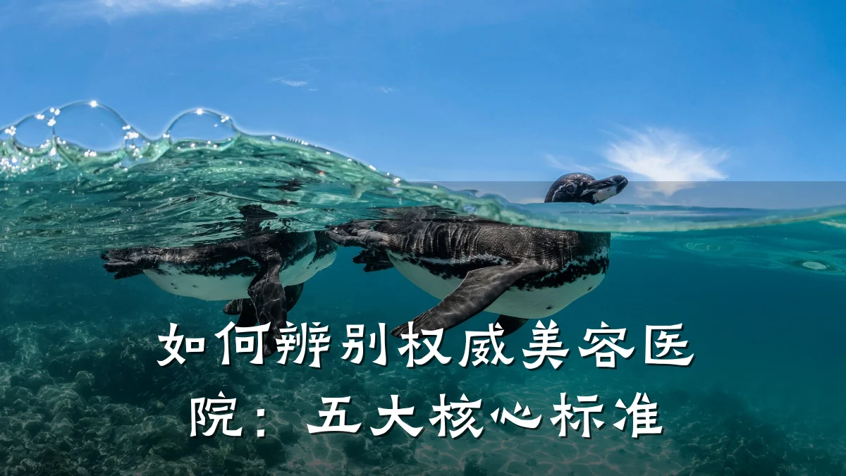 如何辨别权威美容医院：五大核心标准