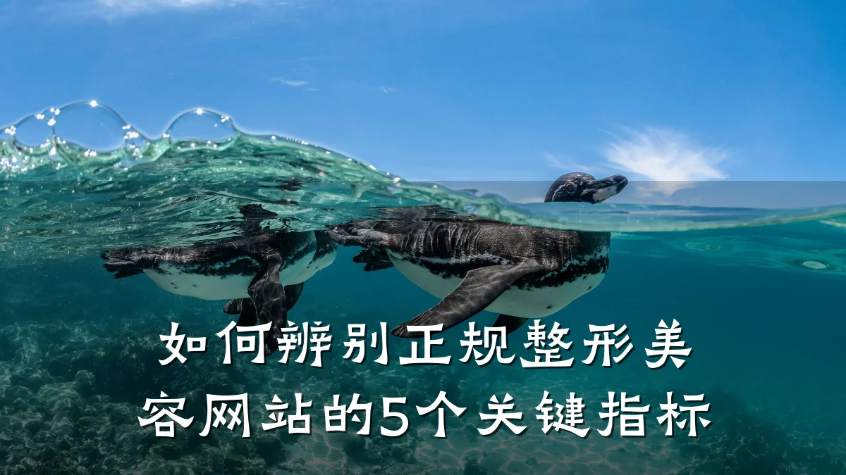 如何辨别正规整形美容网站的5个关键指标
