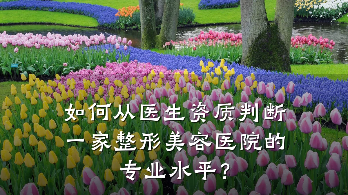 如何从医生资质判断一家整形美容医院的专业水平？