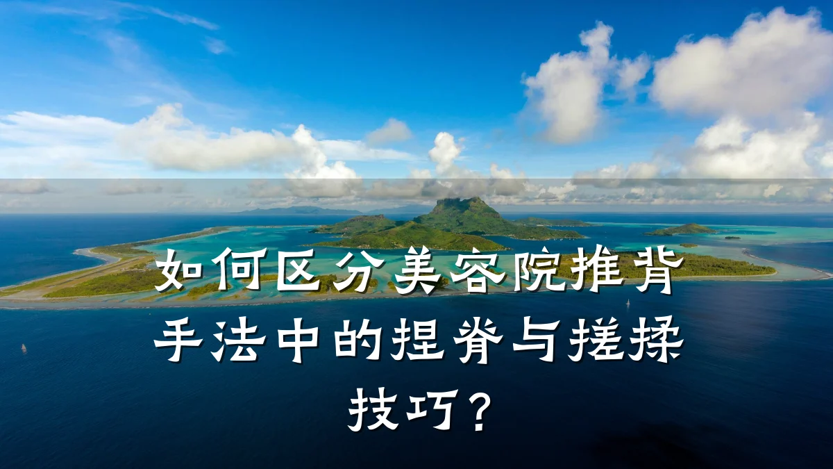 如何区分美容院推背手法中的捏脊与搓揉技巧？