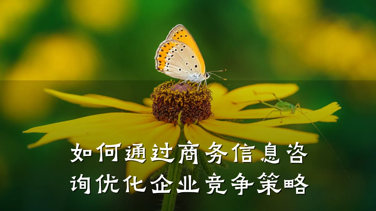 如何通过商务信息咨询优化企业竞争策略