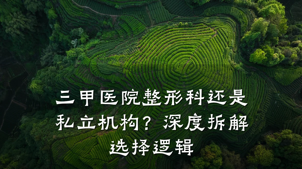 三甲医院整形科还是私立机构？深度拆解选择逻辑