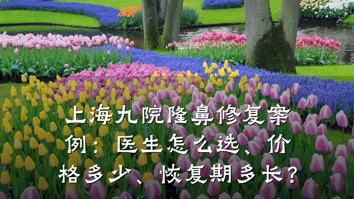 上海九院隆鼻修复案例：医生怎么选、价格多少、恢复期多长？