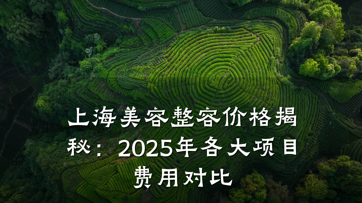 上海美容整容价格揭秘：2025年各大项目费用对比