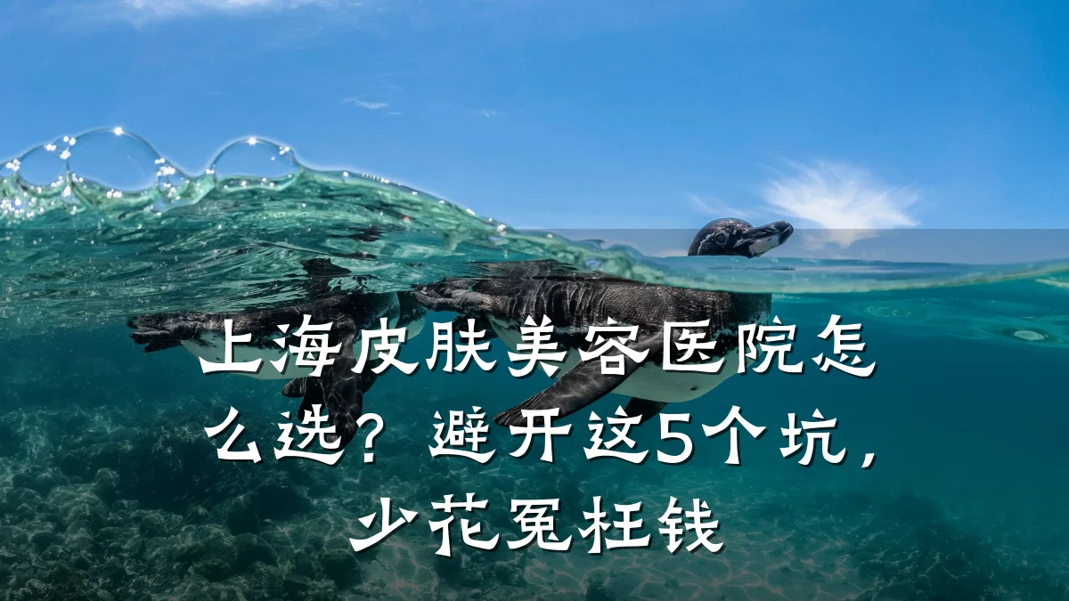 上海皮肤美容医院怎么选？避开这5个坑，少花冤枉钱