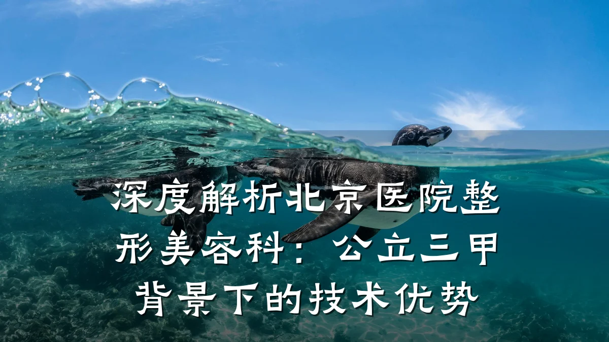 深度解析北京医院整形美容科：公立三甲背景下的技术优势