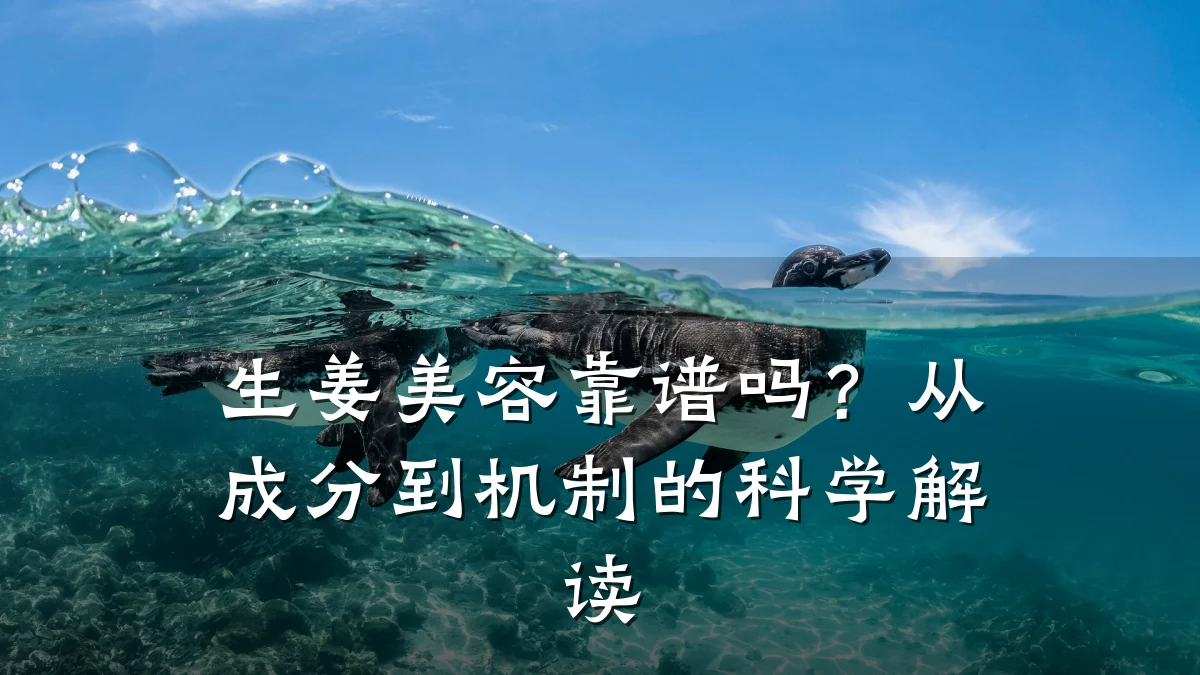 生姜美容靠谱吗？从成分到机制的科学解读