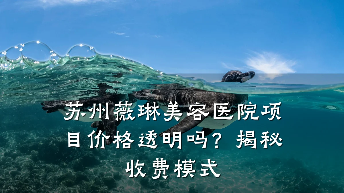 苏州薇琳美容医院项目价格透明吗？揭秘收费模式
