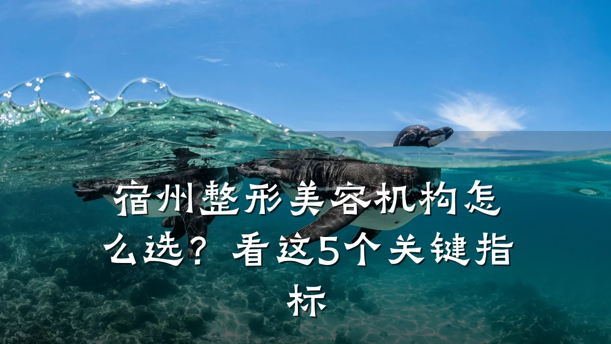 宿州整形美容机构怎么选？看这5个关键指标