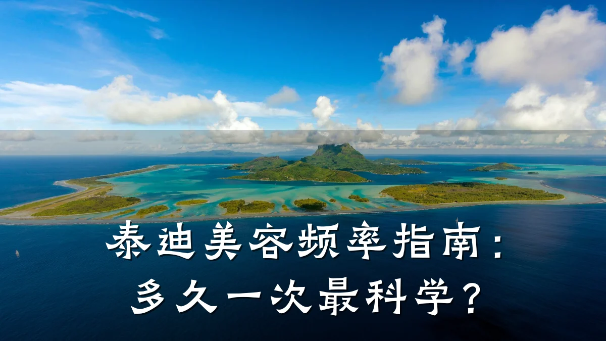 泰迪美容频率指南：多久一次最科学？