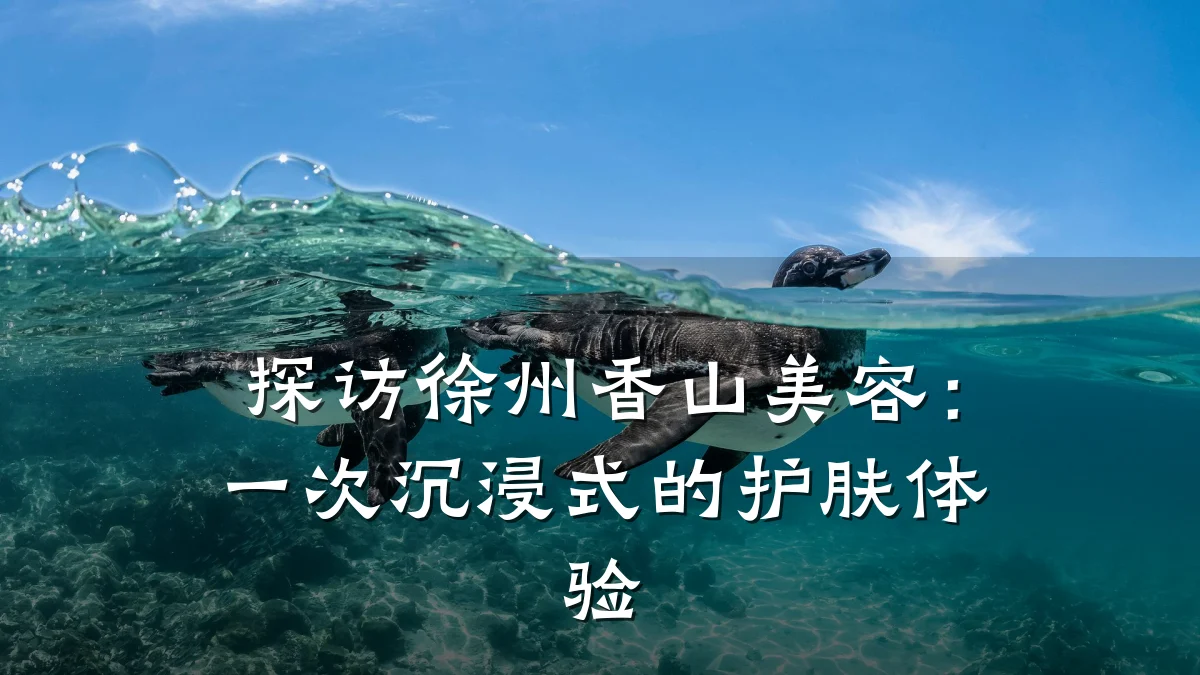 探访徐州香山美容：一次沉浸式的护肤体验