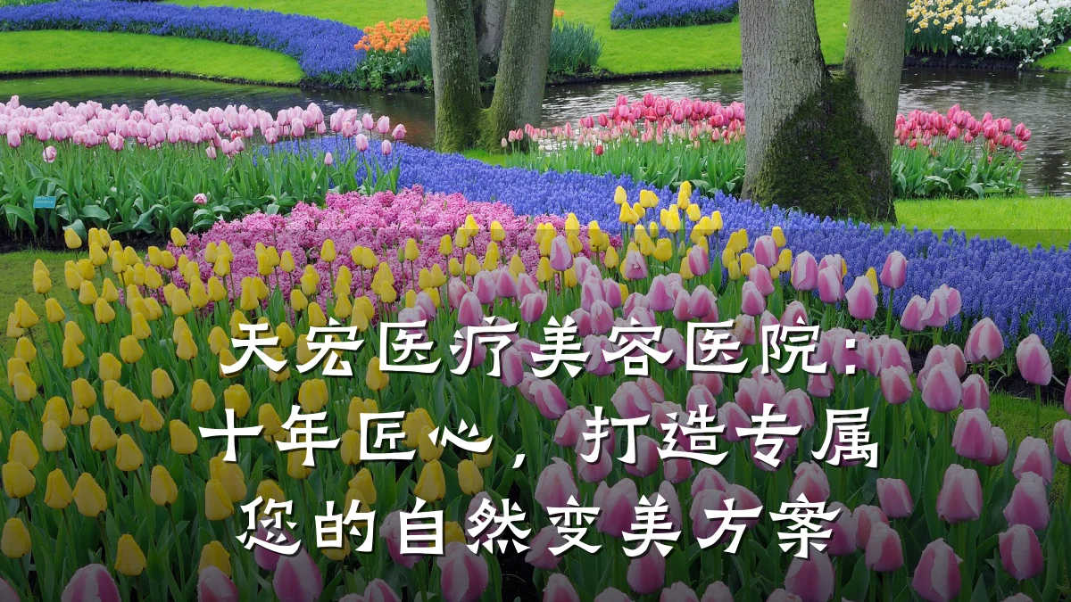 天宏医疗美容医院：十年匠心，打造专属您的自然变美方案