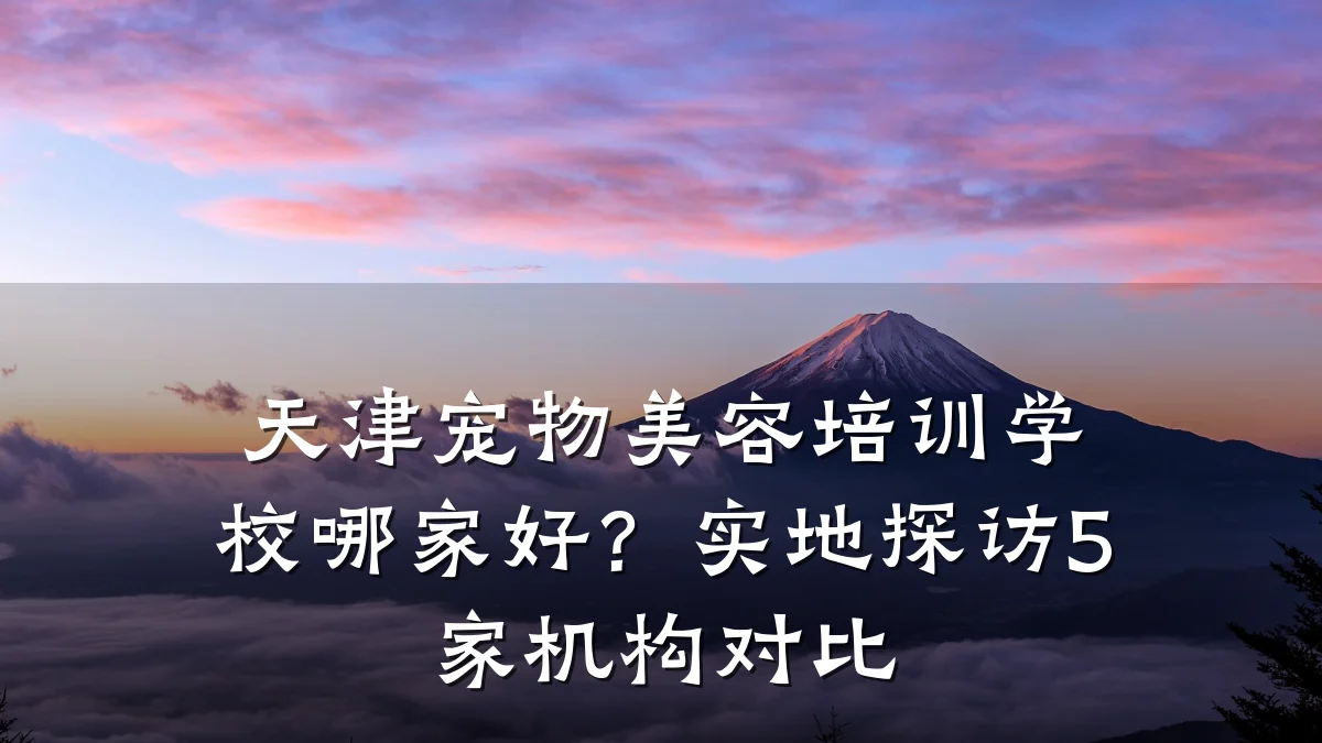 天津宠物美容培训学校哪家好？实地探访5家机构对比