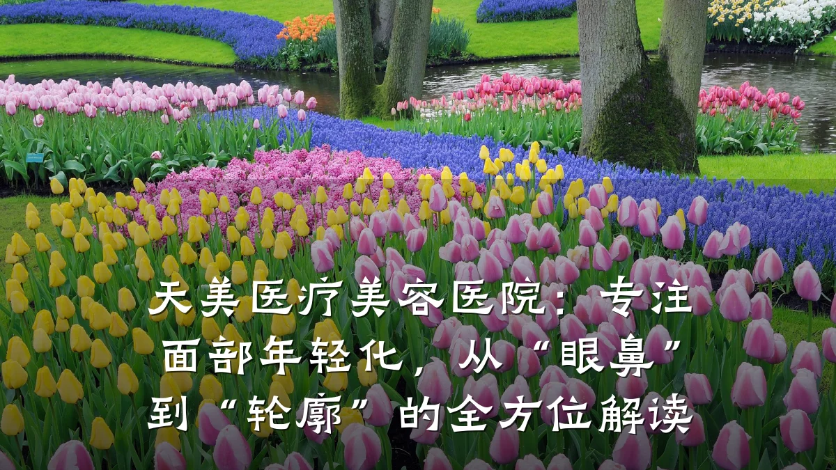 天美医疗美容医院：专注面部年轻化，从“眼鼻”到“轮廓”的全方位解读