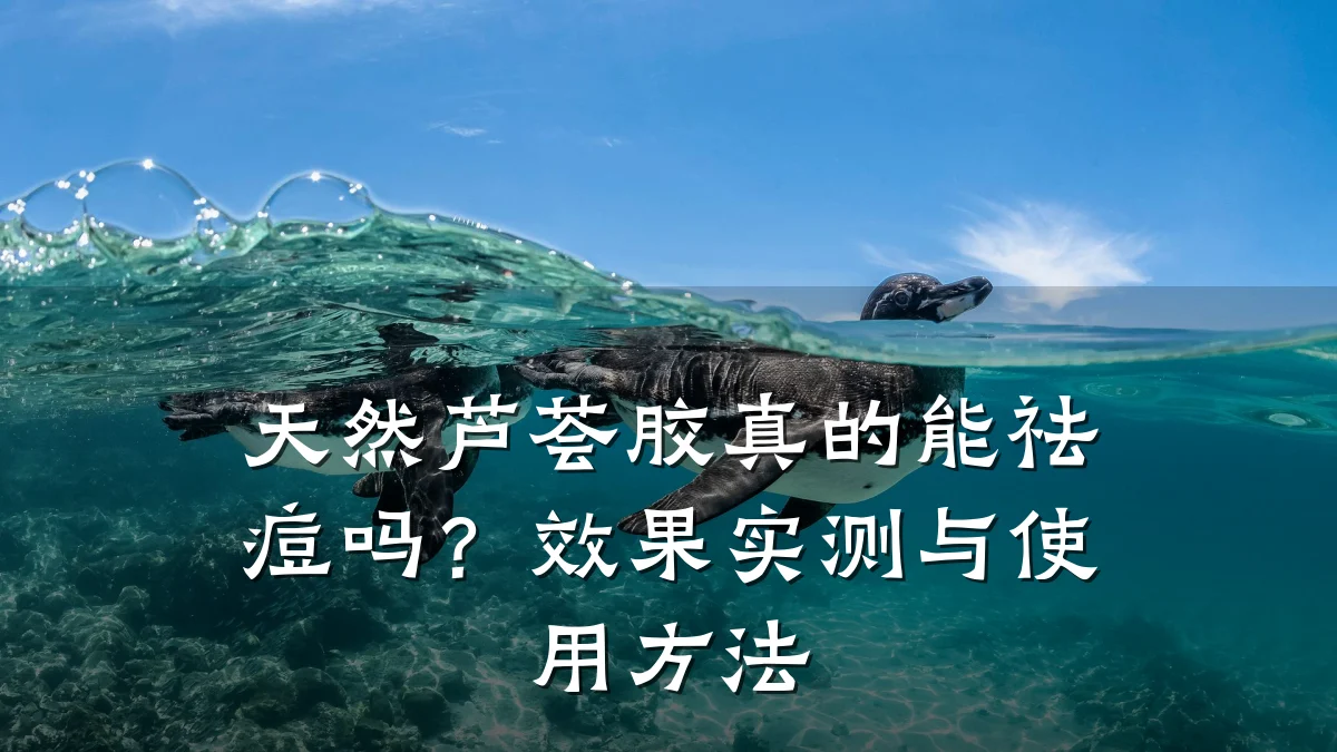 天然芦荟胶真的能祛痘吗？效果实测与使用方法