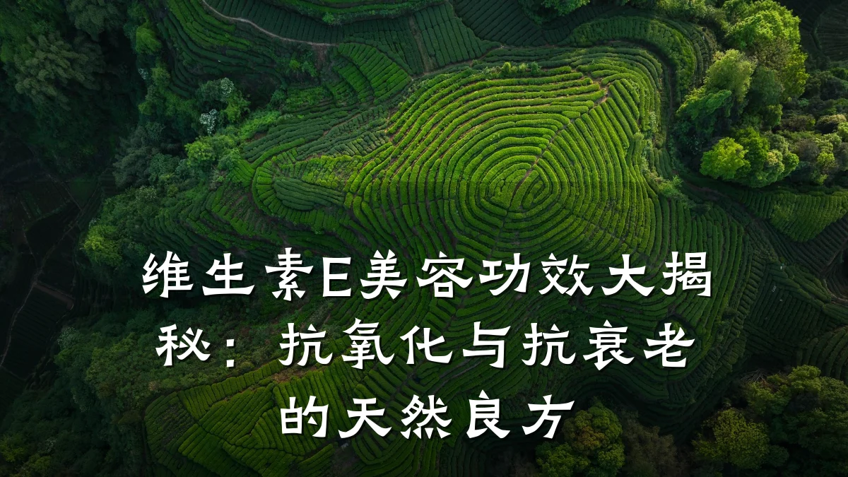 维生素E美容功效大揭秘：抗氧化与抗衰老的天然良方