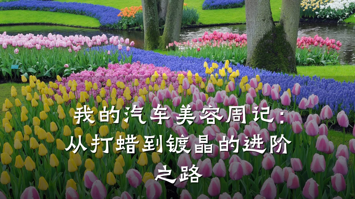 我的汽车美容周记：从打蜡到镀晶的进阶之路