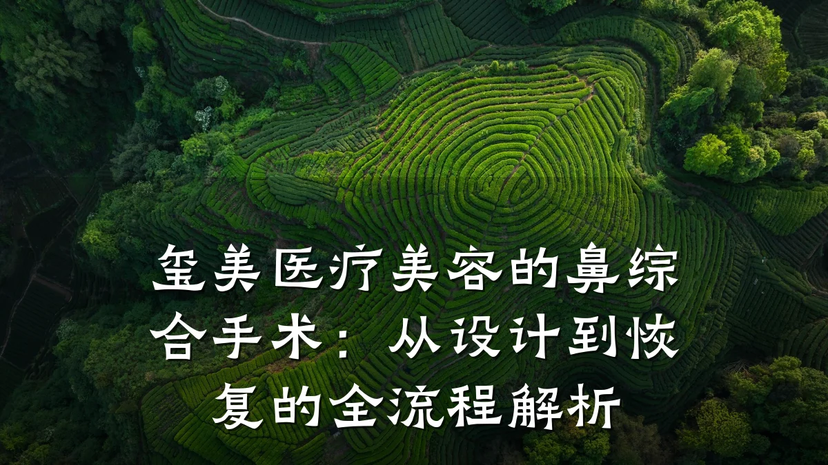 玺美医疗美容的鼻综合手术：从设计到恢复的全流程解析