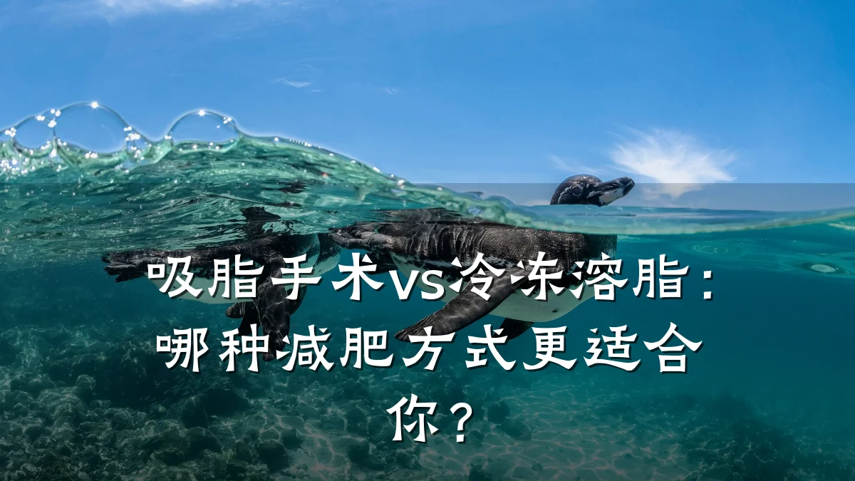 吸脂手术vs冷冻溶脂：哪种减肥方式更适合你？