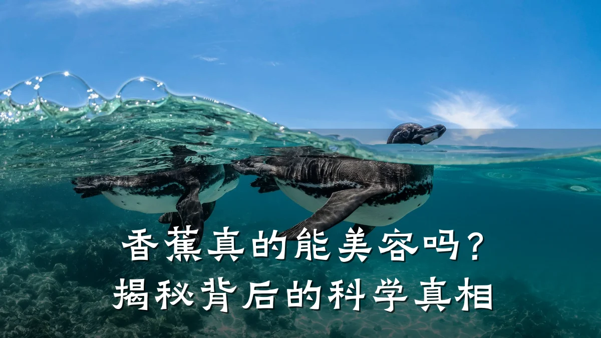 香蕉真的能美容吗？揭秘背后的科学真相