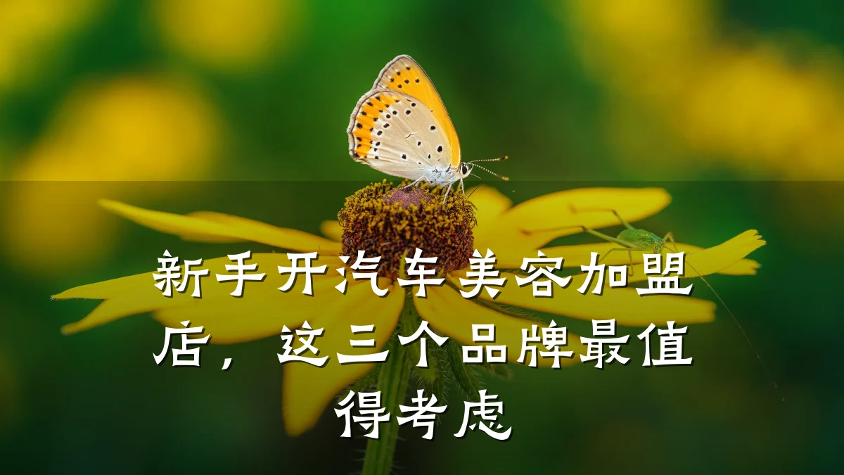 新手开汽车美容加盟店，这三个品牌最值得考虑
