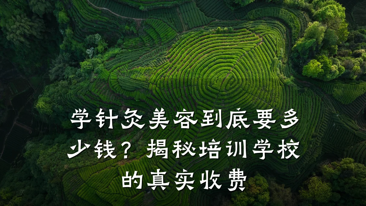 学针灸美容到底要多少钱？揭秘培训学校的真实收费